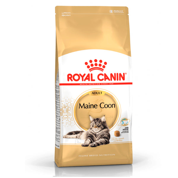 Royal Canin Maine Coon: nourriture spécialisée pour la race Cats Maine Coon