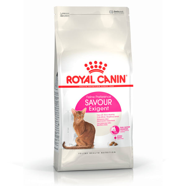 Demande de saveur de canin royal: nourriture spécialisée pour les chats exigeants