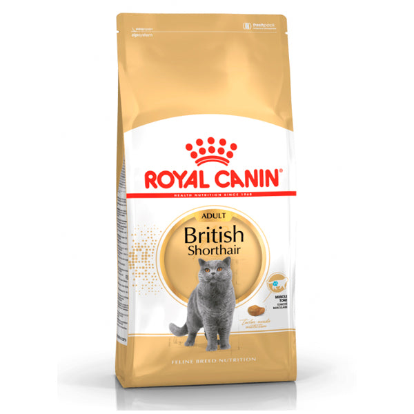 Royal Canin British Shorthair: nourriture spécialisée pour la race britannique Shorthair