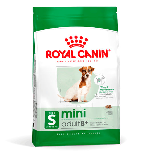Royal Canin Mini Adult 8+: Nutrition spécialisée pour les petites races sur 8 ans