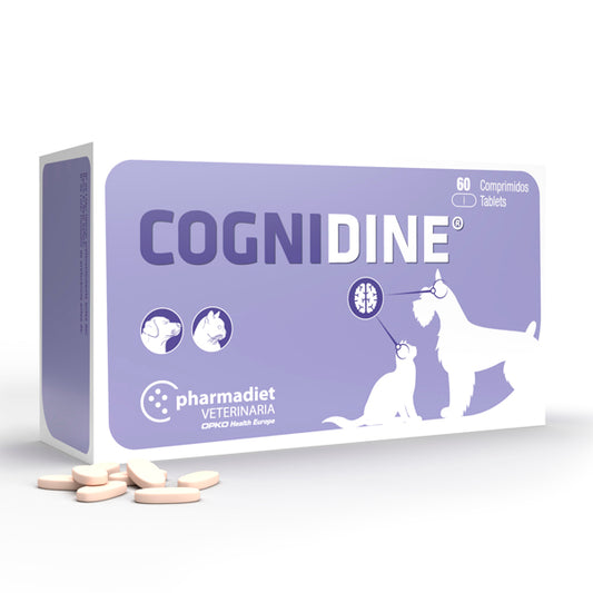Pharmadiet Cognidine 60 comprimés