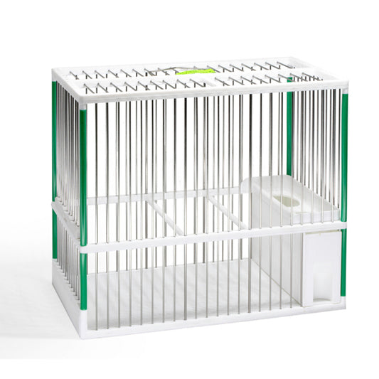 Cage de compétition C-2 en acier blanc et vert