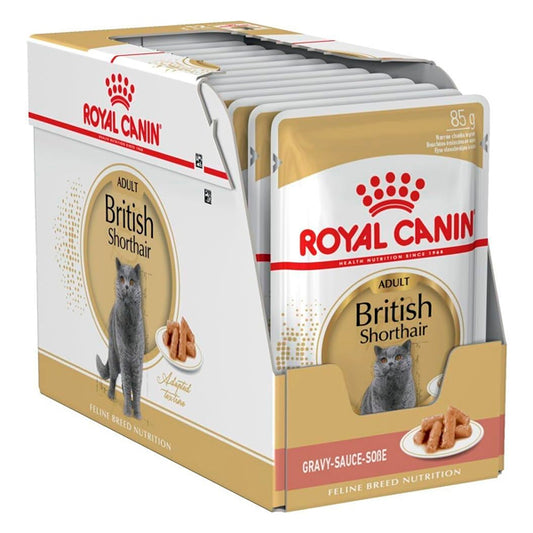 Royal Canin British Shorthair: Aliments humides spécialisés pour la course britannique Shorthair, pack d'enveloppe 125g