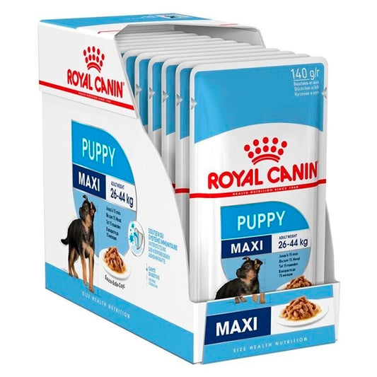Food Wet Royal Canin pour les chiots maxi: pack d'enveloppe 10g