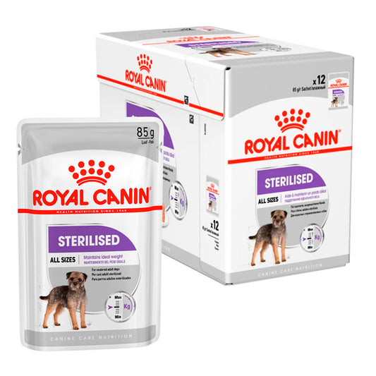 Royal Canin Mini stérilisé: Aliments humides spéciaux pour les mini-chiens stérilisés, pack d'enveloppe 125 g