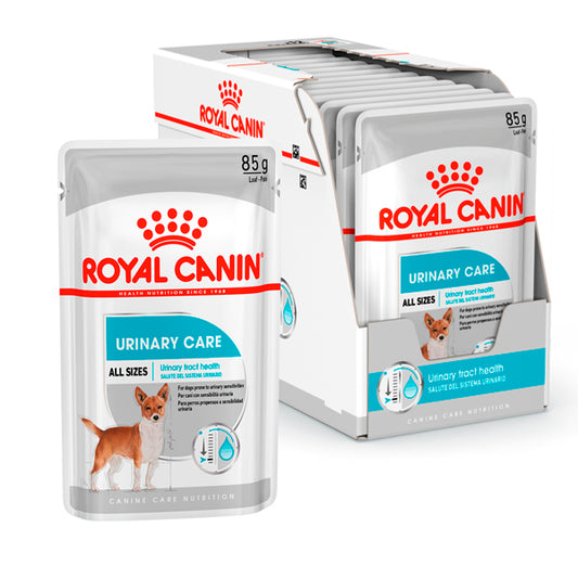 Soins urinaires royaux canin: aliments humides spéciaux pour les soins urinaires, pack d'enveloppe 125 g