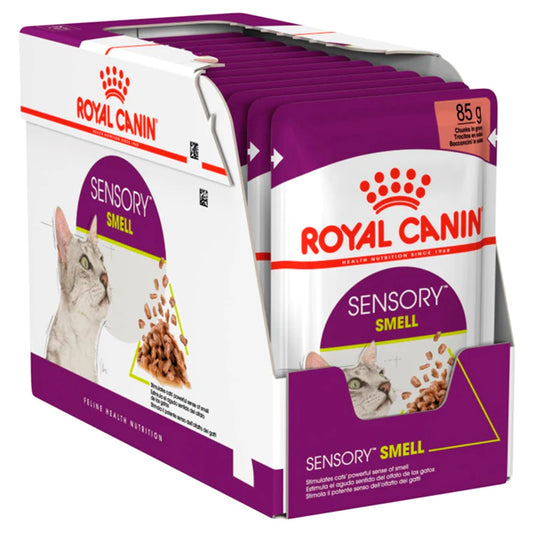 Odeur sensorielle du canin royal: nourriture humide dans la sauce chat, pack d'enveloppe 125 g
