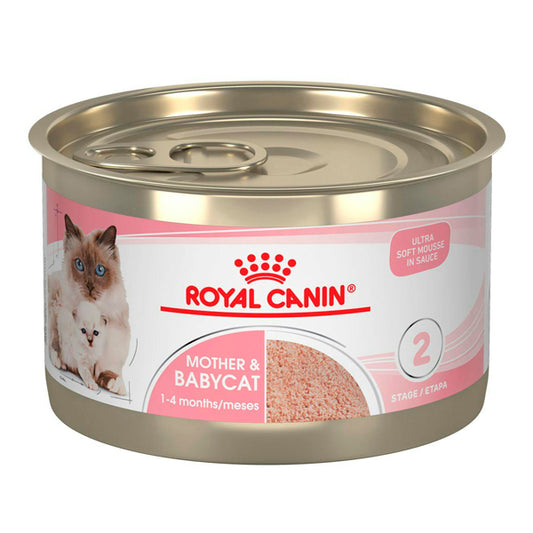 Royal Canin Mère et bébé mousse: nourriture humide pour mères et chiots, 125 pack croisé de 195 GR