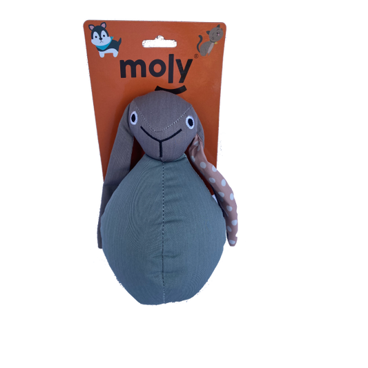 Moly Teddy Toy Diverses textures interactives